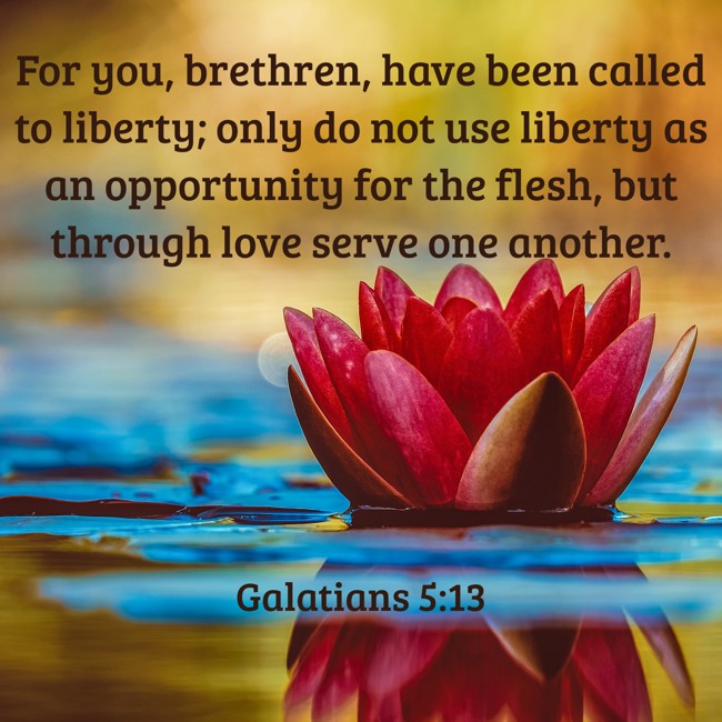 For you, brethren, have been called to liberty; only do not use liberty as an opportunity for the flesh, but through love serve one another. - Galatians 5:13