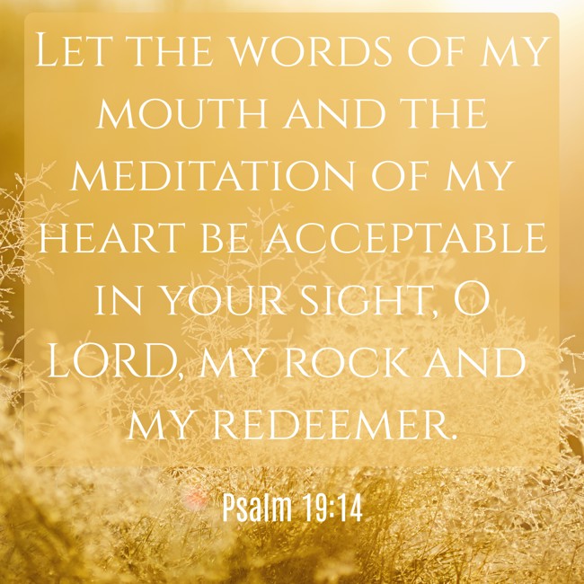 Let the words of my mouth and the meditation of my heart be acceptable in your sight, O LORD, my rock and my redeemer. - Psalm 19:14
