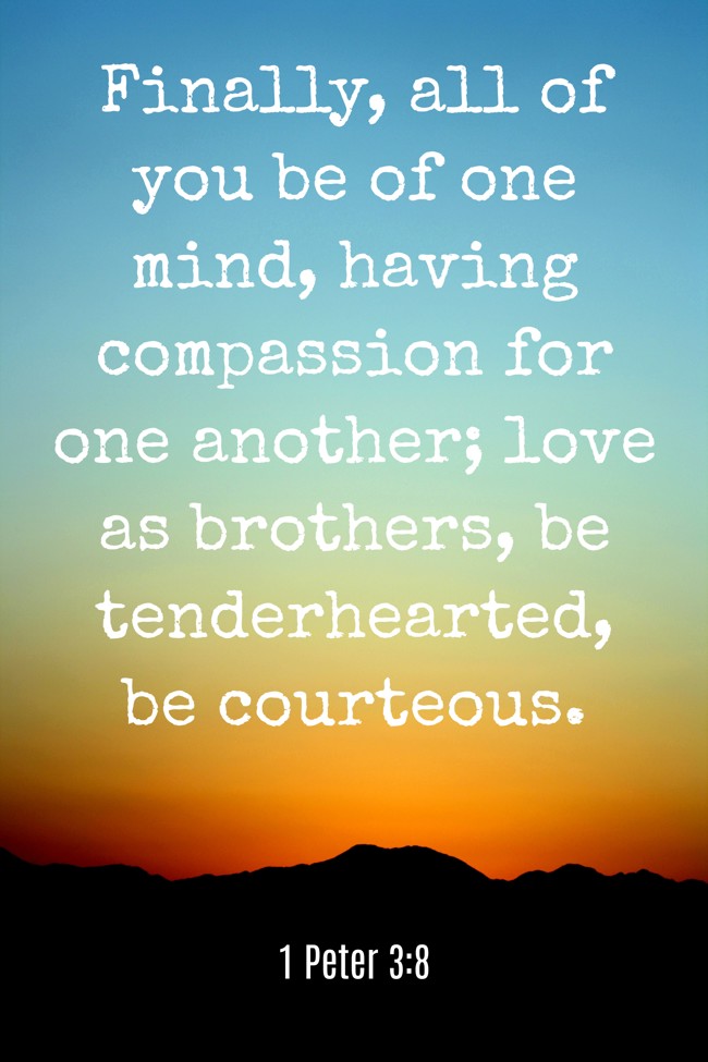 Finally, all of you be of one mind, having compassion for one another; love as brothers, be tenderhearted, be courteous. - 1 Peter 3:8