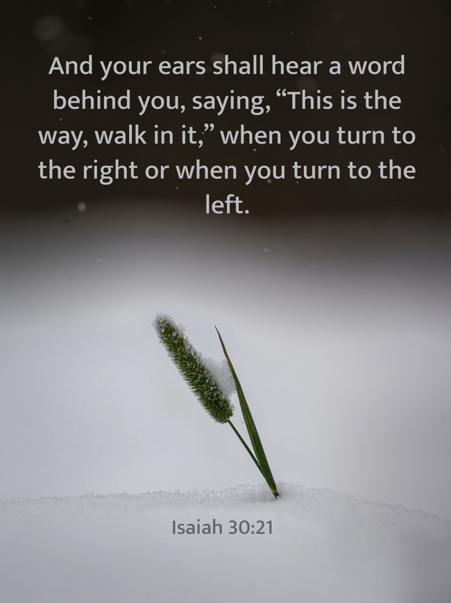 And your ears shall hear a word behind you, saying, “This is the way, walk in it,” when you turn to the right or when you turn to the left. - Isaiah 30:21