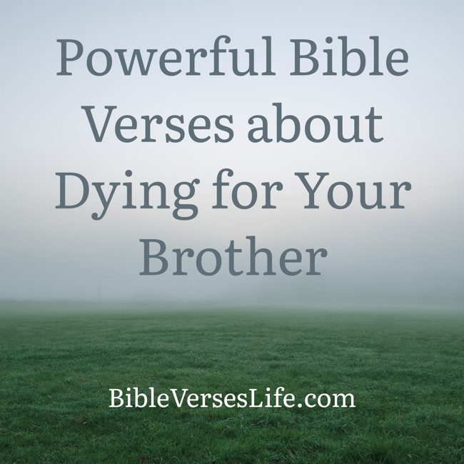 Powerful Bible Verses about Dying for Your Brother