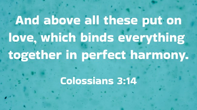 And above all these put on love, which binds everything together in perfect harmony. - Colossians 3:14