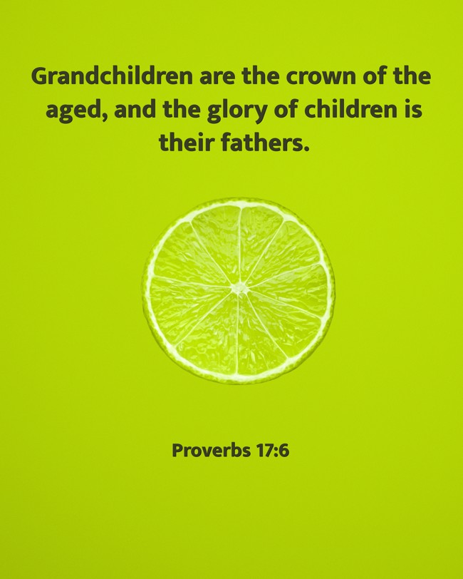 Grandchildren are the crown of the aged, and the glory of children is their fathers. - Proverbs 17:6