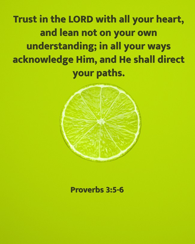  Trust in the LORD with all your heart, and lean not on your own understanding; in all your ways acknowledge Him, and He shall direct your paths.   - Proverbs 3:5-6 