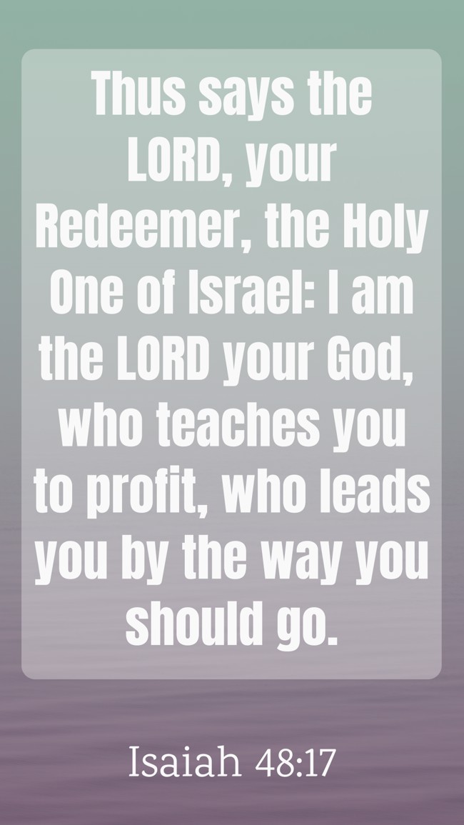  Thus says the LORD, your Redeemer, the Holy One of Israel: I am the LORD your God, who teaches you to profit, who leads you by the way you should go.   - Isaiah 48:17 