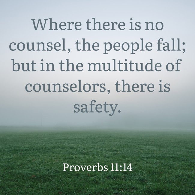  Where there is no counsel, the people fall; but in the multitude of counselors, there is safety.   - Proverbs 11:14 