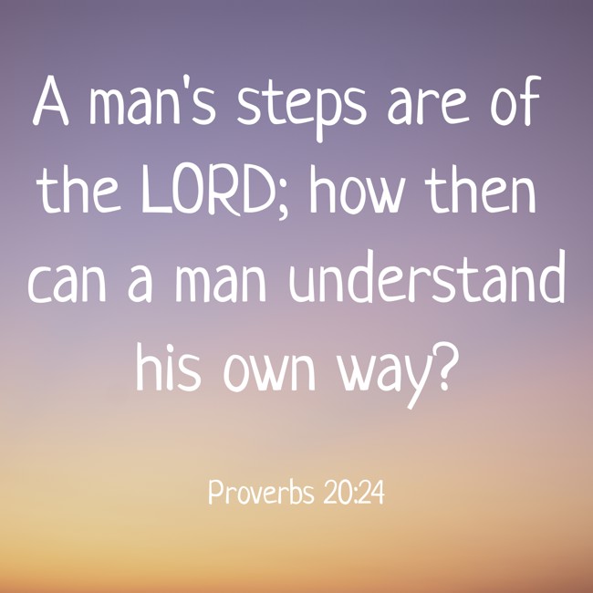  A man's steps are of the LORD; how then can a man understand his own way?   - Proverbs 20:24 