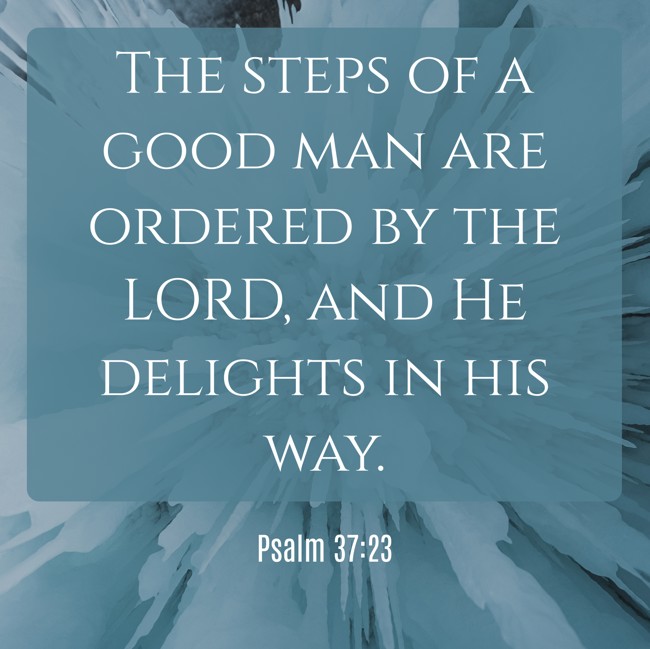  The steps of a good man are ordered by the LORD, and He delights in his way.   - Psalm 37:23 