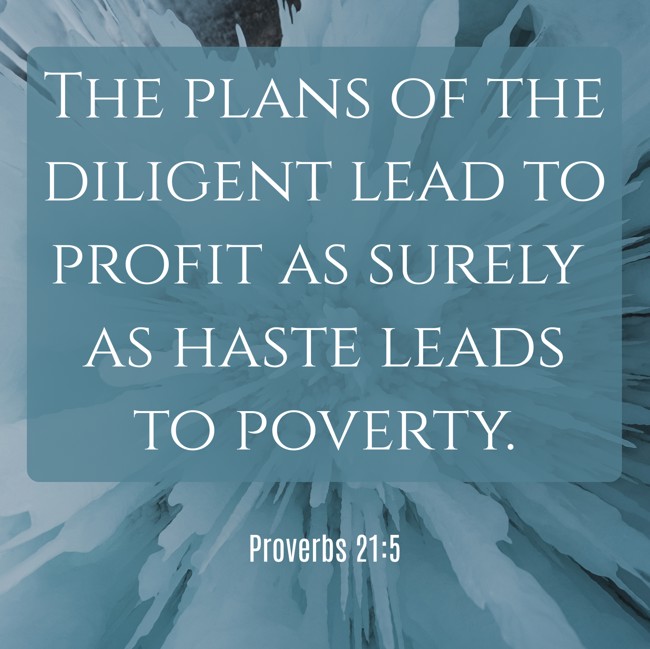  The plans of the diligent lead to profit as surely as haste leads to poverty.   - Proverbs 21:5 