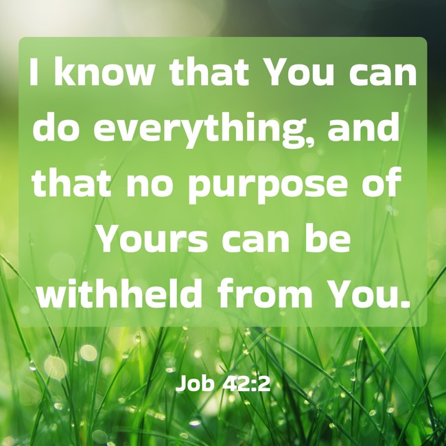  I know that You can do everything, and that no purpose of Yours can be withheld from You.   - Job 42:2 