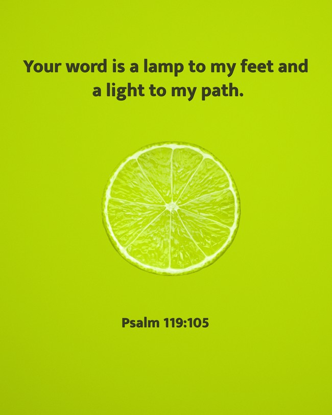  Your word is a lamp to my feet and a light to my path.   - Psalm 119:105 