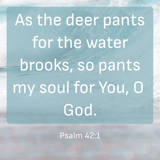  As the deer pants for the water brooks, so pants my soul for You, O God.   - Psalm 42:1 