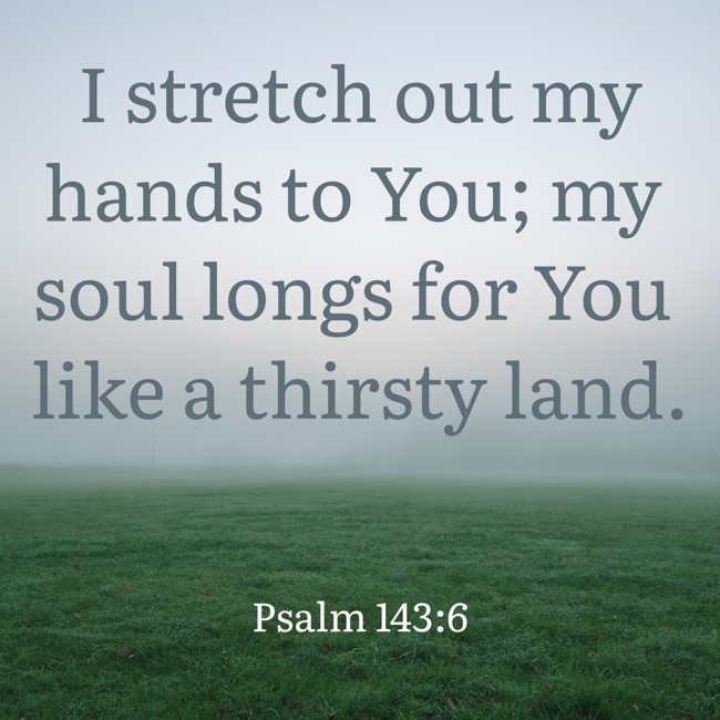  I stretch out my hands to You; my soul longs for You like a thirsty land.   - Psalm 143:6 
