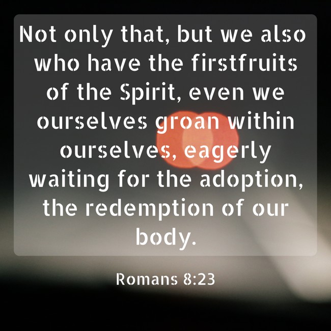  Not only that, but we also who have the firstfruits of the Spirit, even we ourselves groan within ourselves, eagerly waiting for the adoption, the redemption of our body.   - Romans 8:23 