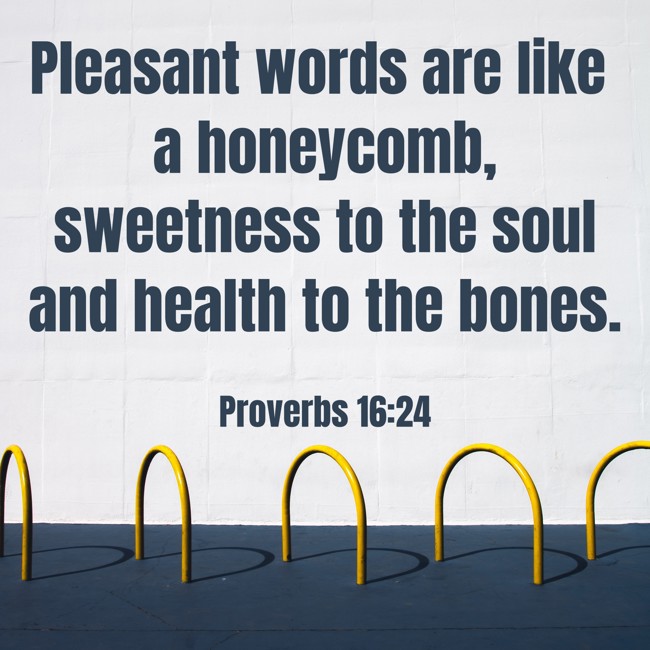  Pleasant words are like a honeycomb, sweetness to the soul and health to the bones.   - Proverbs 16:24 