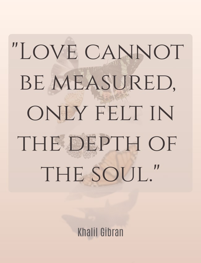  Love cannot be measured, only felt in the depth of the soul.   - Khalil Gibran 