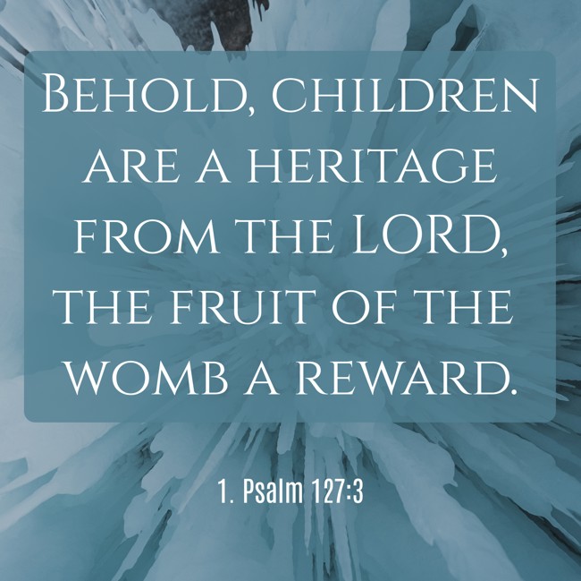  Behold, children are a heritage from the LORD, the fruit of the womb a reward.   - 1. Psalm 127:3 