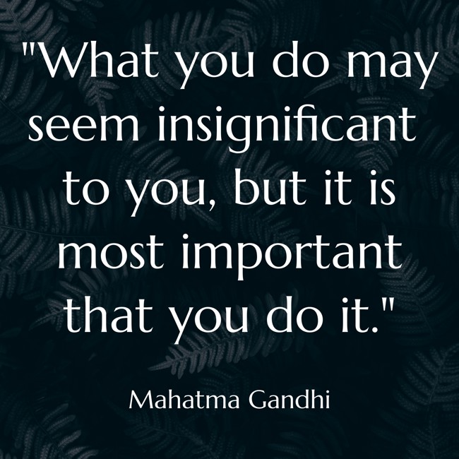  What you do may seem insignificant to you, but it is most important that you do it.   - Mahatma Gandhi 