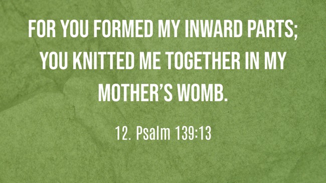  For you formed my inward parts; you knitted me together in my mother’s womb.   - 12. Psalm 139:13 
