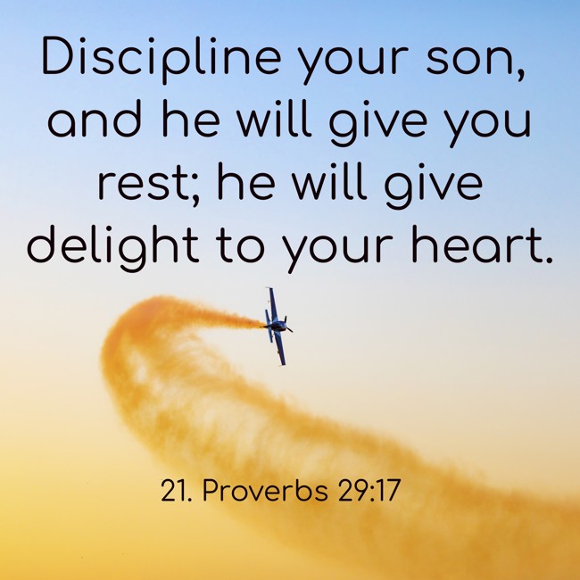  Discipline your son, and he will give you rest; he will give delight to your heart.   - 21. Proverbs 29:17 