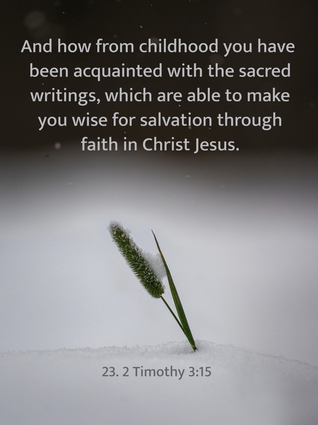  And how from childhood you have been acquainted with the sacred writings, which are able to make you wise for salvation through faith in Christ Jesus.   - 23. 2 Timothy 3:15 