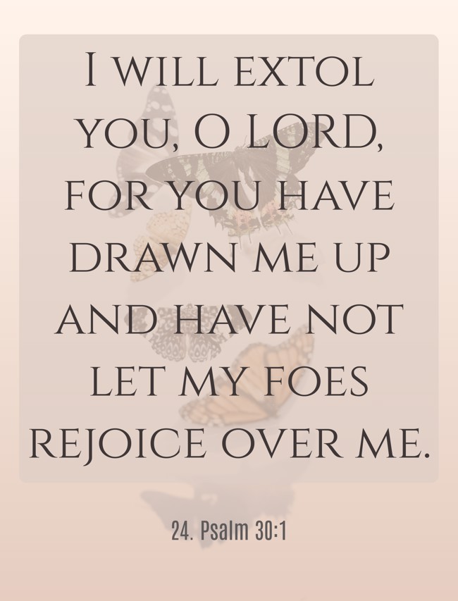  I will extol you, O LORD, for you have drawn me up and have not let my foes rejoice over me.   - 24. Psalm 30:1 