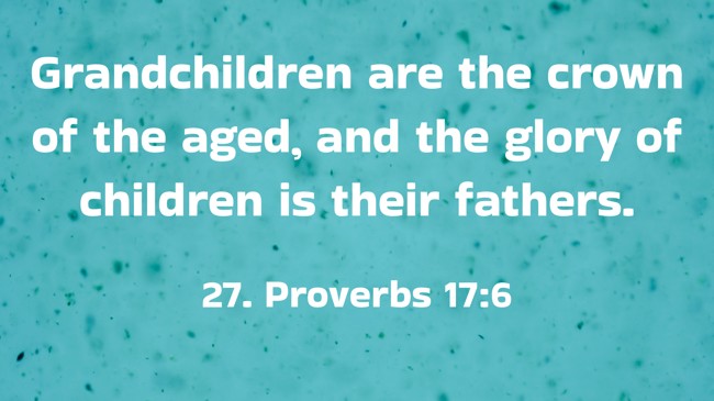  Grandchildren are the crown of the aged, and the glory of children is their fathers.   - 27. Proverbs 17:6 