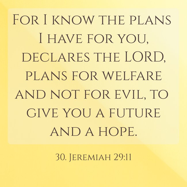  For I know the plans I have for you, declares the LORD, plans for welfare and not for evil, to give you a future and a hope.   - 30. Jeremiah 29:11 