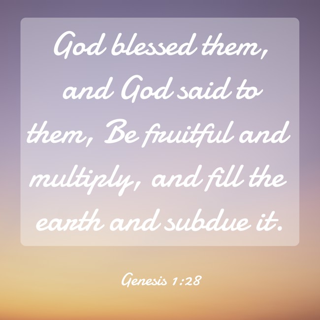 God blessed them, and God said to them, Be fruitful and multiply, and fill the earth and subdue it. - Genesis 1:28