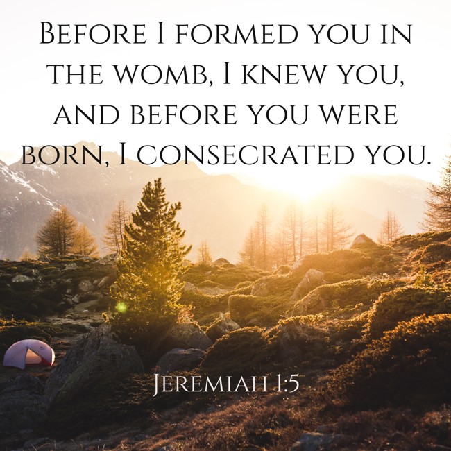 Before I formed you in the womb, I knew you, and before you were born, I consecrated you. - Jeremiah 1:5