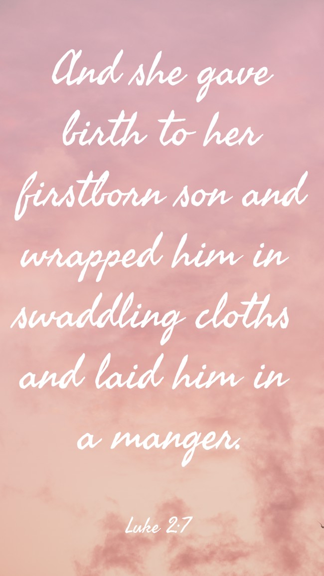 And she gave birth to her firstborn son and wrapped him in swaddling cloths and laid him in a manger. - Luke 2:7