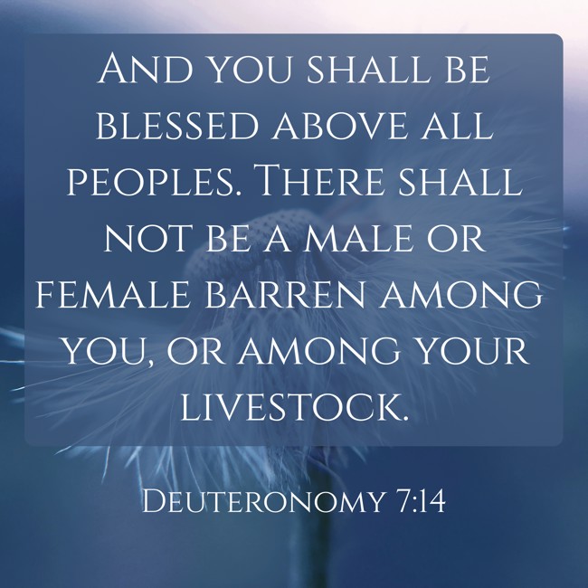 And you shall be blessed above all peoples. There shall not be a male or female barren among you, or among your livestock. - Deuteronomy 7:14