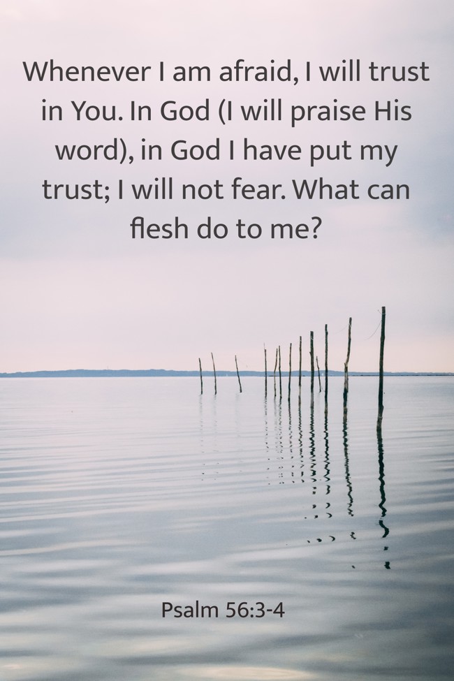  Whenever I am afraid, I will trust in You. In God (I will praise His word), in God I have put my trust; I will not fear. What can flesh do to me?   - Psalm 56:3-4 