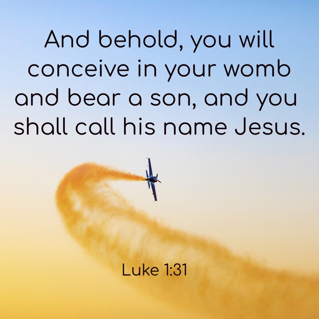 And behold, you will conceive in your womb and bear a son, and you shall call his name Jesus. - Luke 1:31