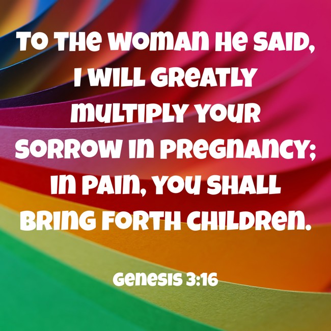 To the woman He said, I will greatly multiply your sorrow in pregnancy; in pain, you shall bring forth children. - Genesis 3:16