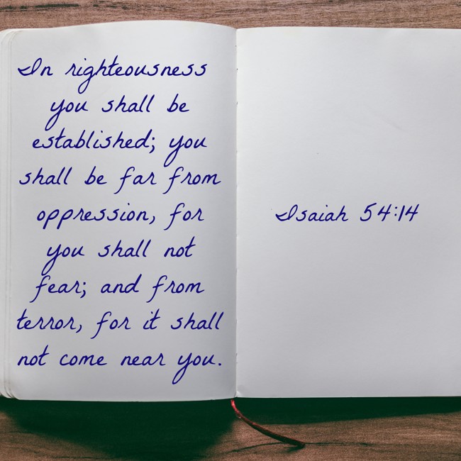  In righteousness you shall be established; you shall be far from oppression, for you shall not fear; and from terror, for it shall not come near you.   - Isaiah 54:14 