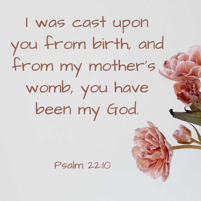 I was cast upon you from birth, and from my mother's womb, you have been my God. - Psalm 22:10