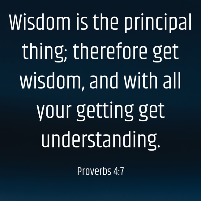 Wisdom is the principal thing; therefore get wisdom, and with all your getting get understanding. - Proverbs 4:7