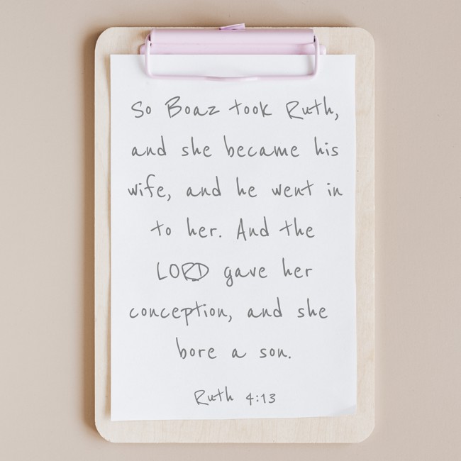 So Boaz took Ruth, and she became his wife, and he went in to her. And the LORD gave her conception, and she bore a son. - Ruth 4:13