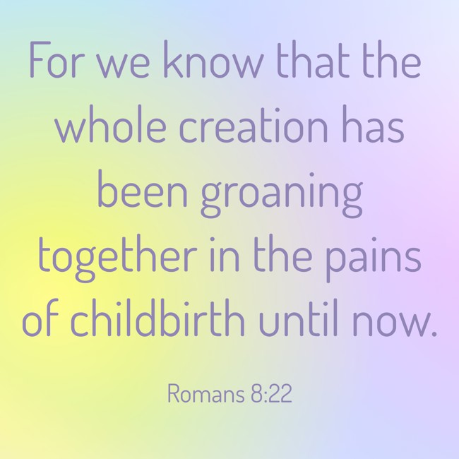 For we know that the whole creation has been groaning together in the pains of childbirth until now. - Romans 8:22