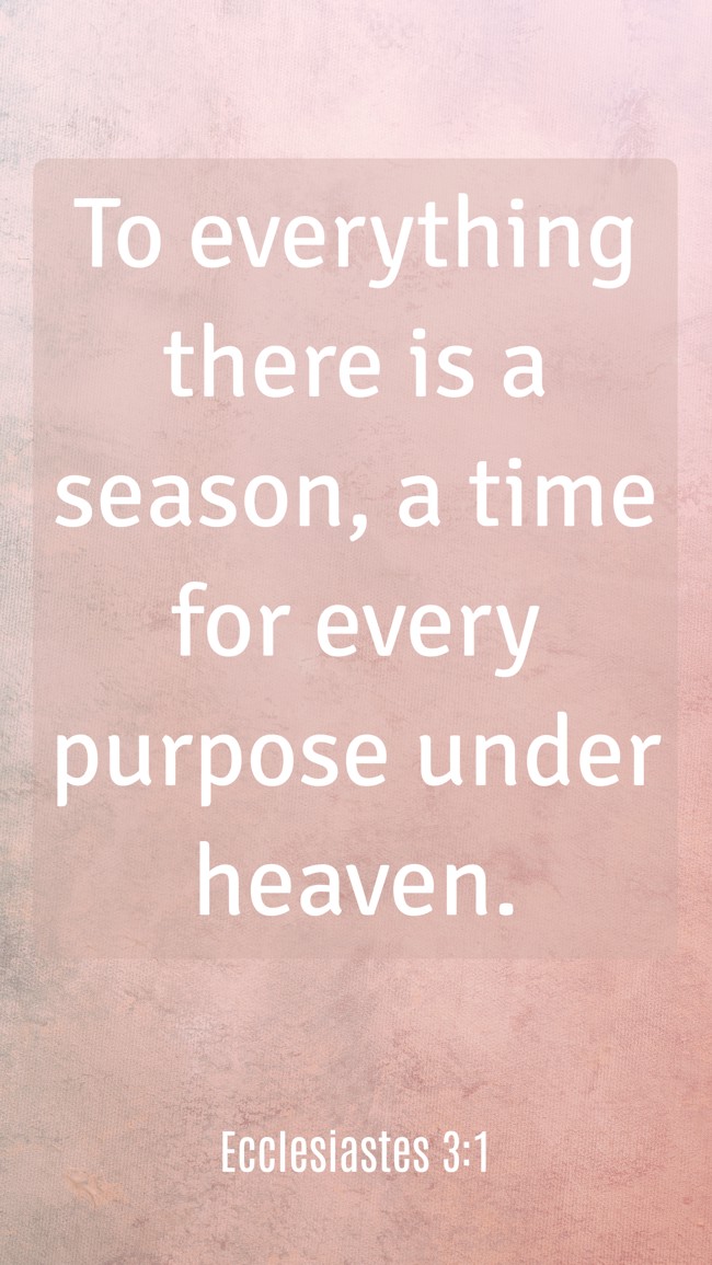 To everything there is a season, a time for every purpose under heaven. - Ecclesiastes 3:1
