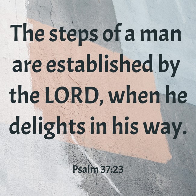 The steps of a man are established by the LORD, when he delights in his way. - Psalm 37:23