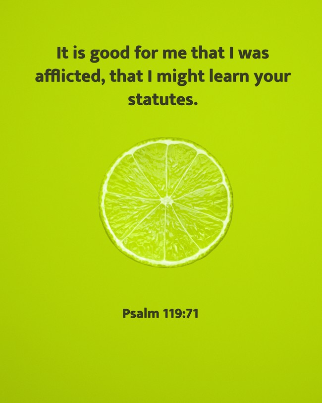 It is good for me that I was afflicted, that I might learn your statutes. - Psalm 119:71