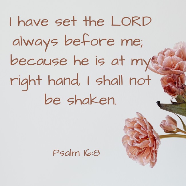 I have set the LORD always before me; because he is at my right hand, I shall not be shaken. - Psalm 16:8