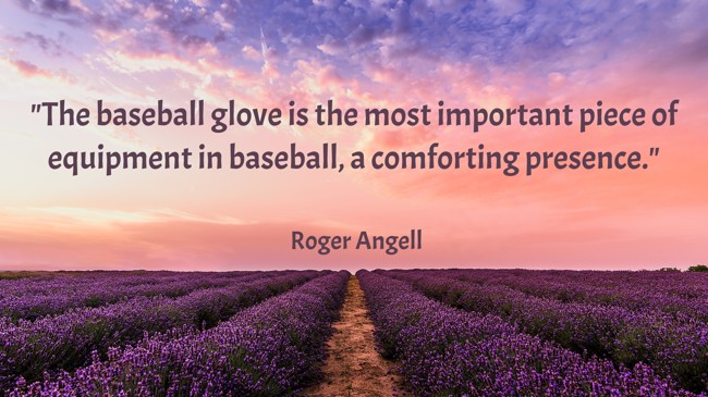 The baseball glove is the most important piece of equipment in baseball, a comforting presence. - Roger Angell