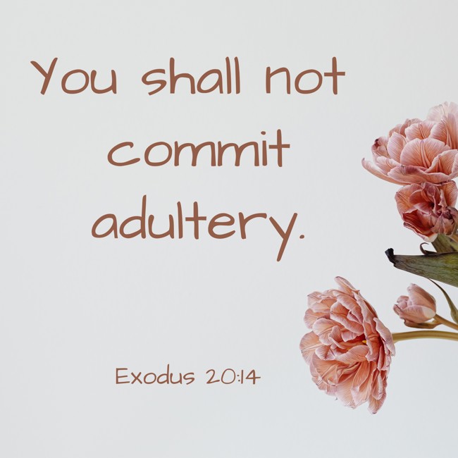  You shall not commit adultery.   - Exodus 20:14 
