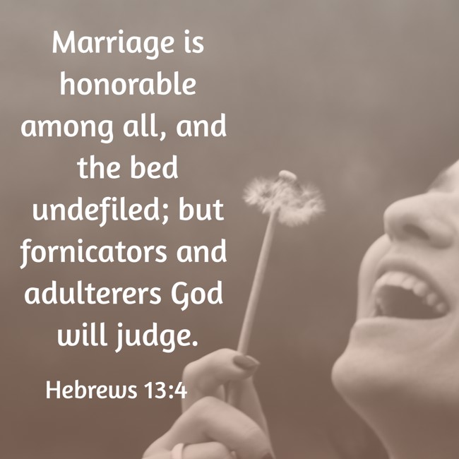  Marriage is honorable among all, and the bed undefiled; but fornicators and adulterers God will judge.   - Hebrews 13:4 