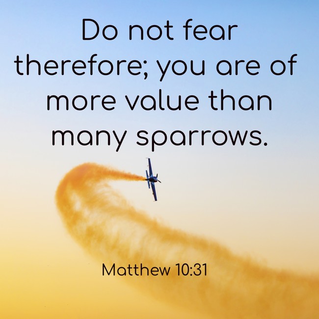 Do not fear therefore; you are of more value than many sparrows. - Matthew 10:31