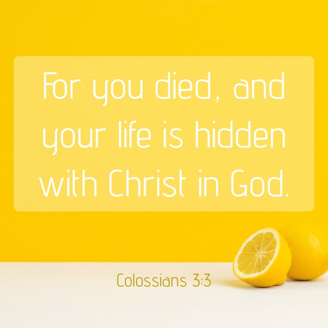 For you died, and your life is hidden with Christ in God. - Colossians 3:3