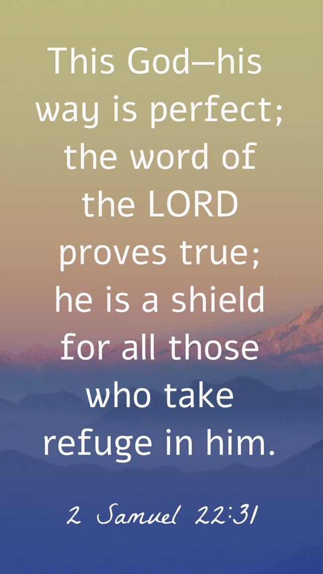 This God—his way is perfect; the word of the LORD proves true; he is a shield for all those who take refuge in him. - 2 Samuel 22:31